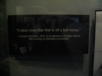 Roosevelt Quote