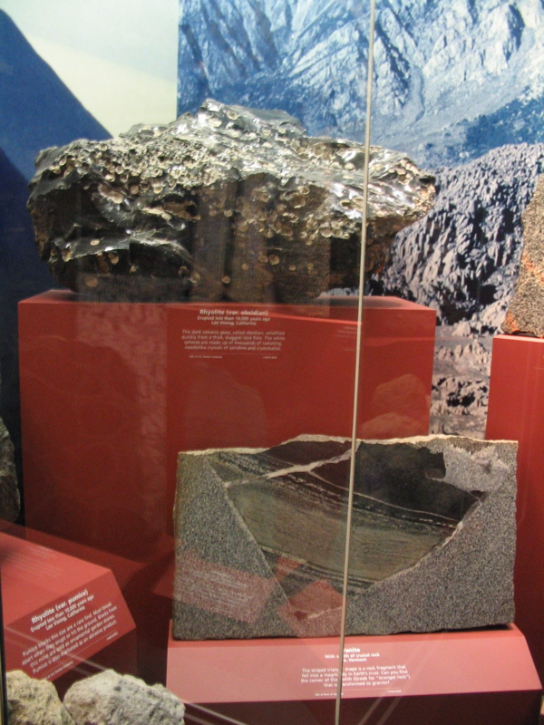 Xenolith in Granite