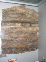 Big Sample (KT Boundary) from New Mexico