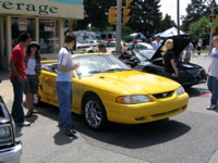 Yellow Mustang