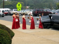 The Bridesmaids Arrive
