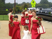 The Bridesmaids