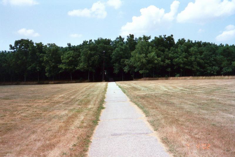 Down this path lies the married grad dorms. There's a metaphor here, I'm sure of it...