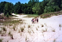 The Back of the Dune