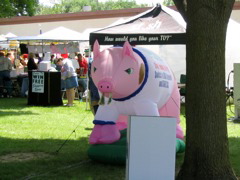 Inflatable Pig with snot coming out of it's nose...
