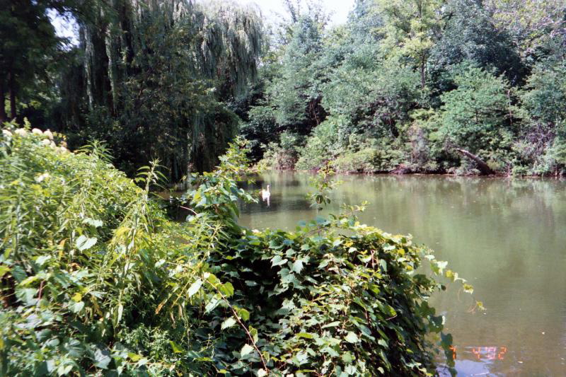 This is St. Mary's Lake, right next to St. Joseph's.