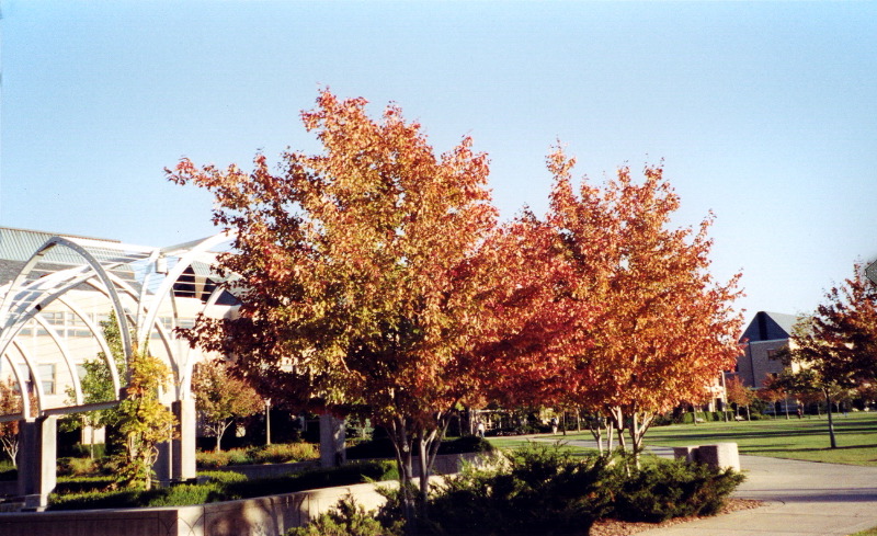 Fall 2003 1