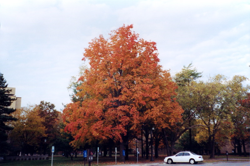 Fall 2003 2