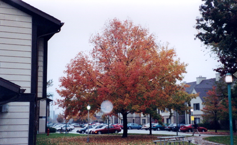 Fall 2003 3