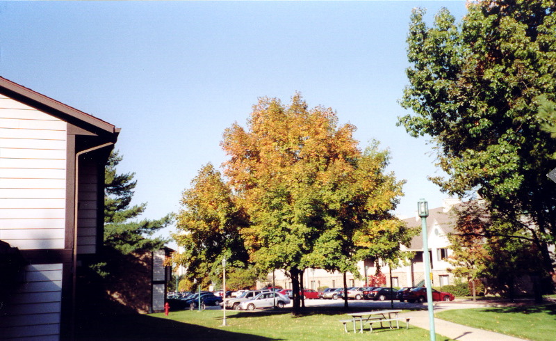 Fall 2003 4