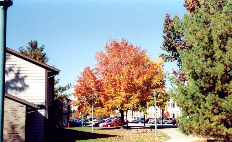 Fall 2003 5